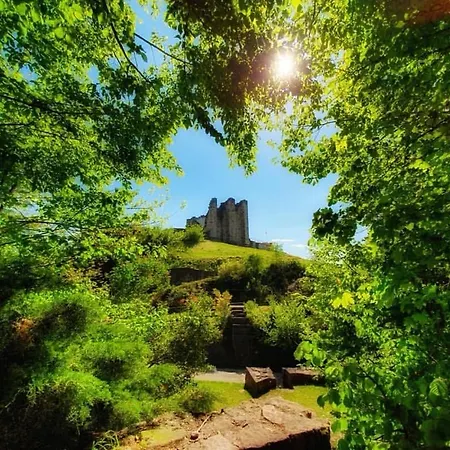 Chipote By Joyca Épinal