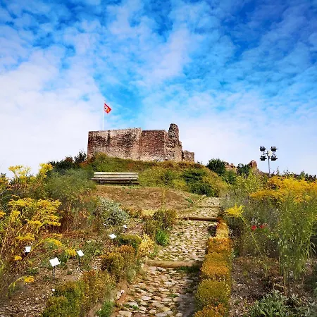 Chipote By Joyca Appartement *