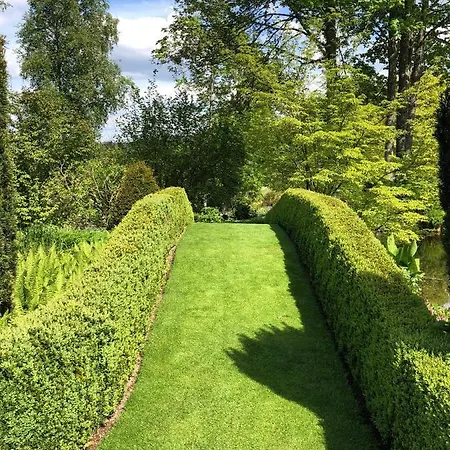 Chipote By Joyca Épinal