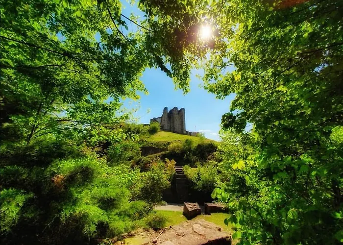 Chipote By Joyca Épinal