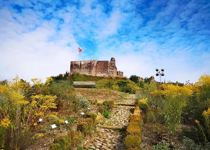 Chipote By Joyca Appartement *