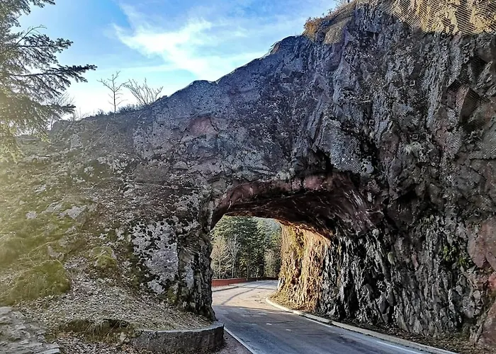 Chipote By Joyca Épinal