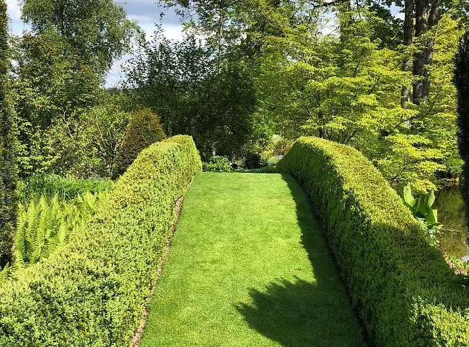 Chipote By Joyca Épinal