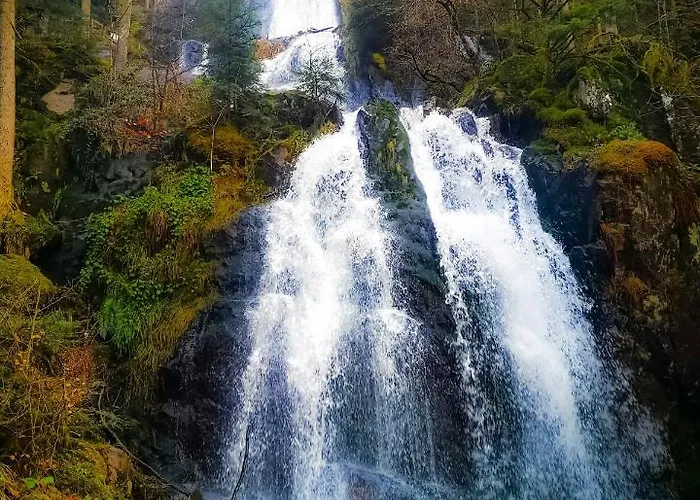 Apartment Chipote By Joyca