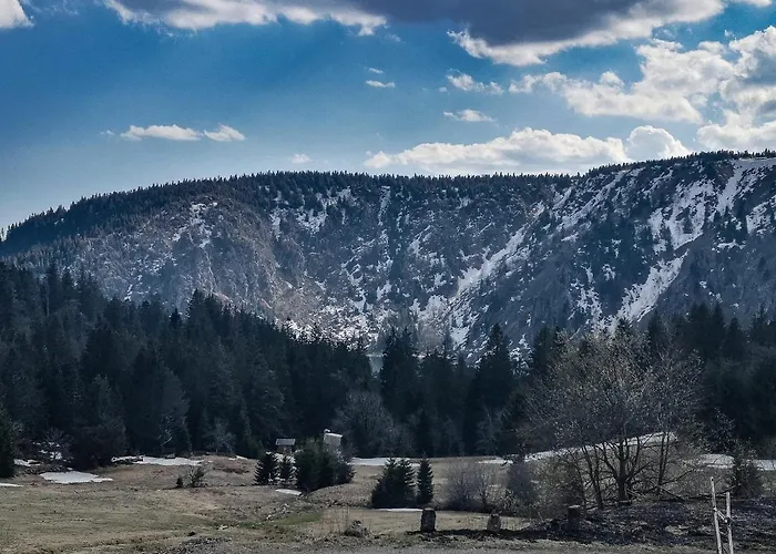 Apartment Chipote By Joyca